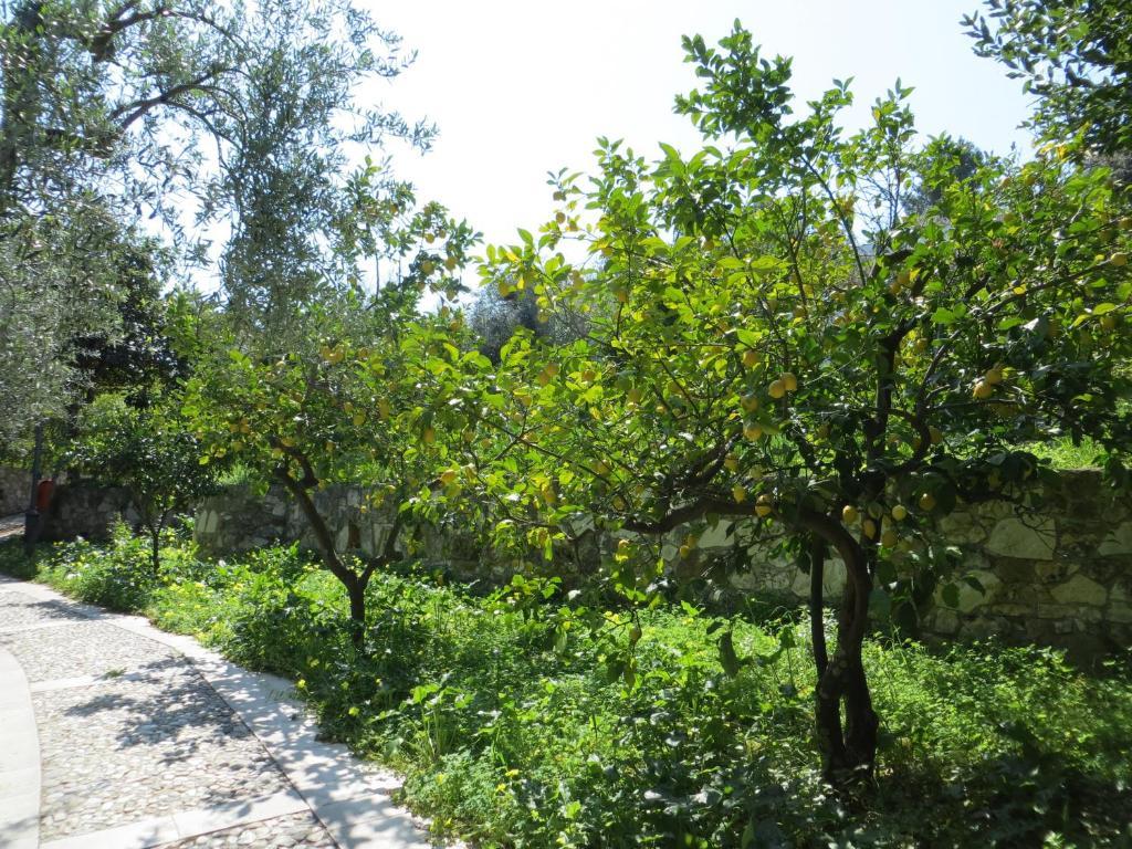 Villaggio Hotel Ripa Rodi Garganico Buitenkant foto